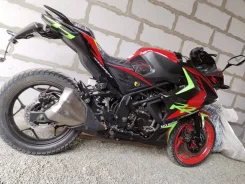 Racer Storm. 250����. ��., ��������, ��� ����