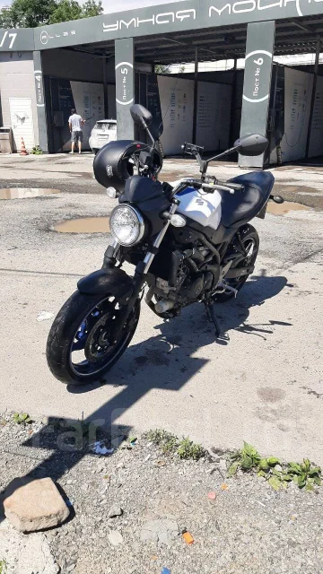 Suzuki SV 650. 650����. ��., ��������, ���������, ������ �� �� ����