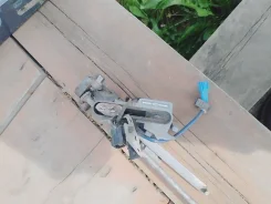 ���� ������������ �������. ����