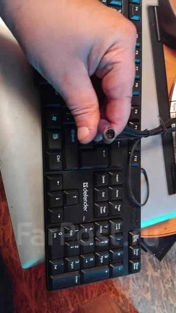 ����������. ����