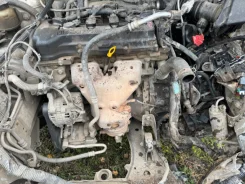 Nissan Expert. VNW11500321, QG18 ����