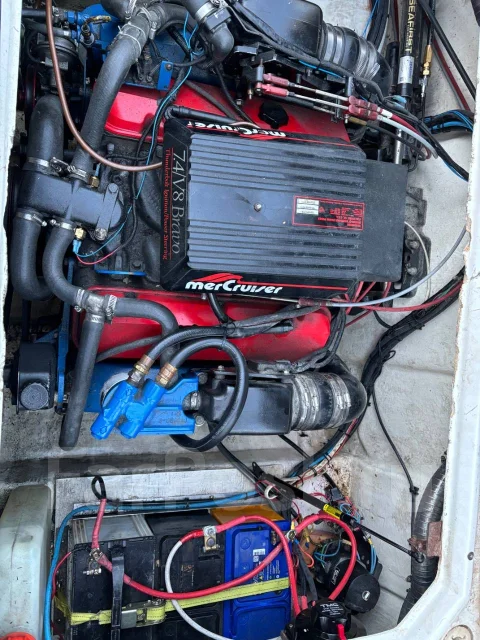 Bayliner. 2022 ���, ����� 7��., ��������� ������������, 330��.�., ������ ����