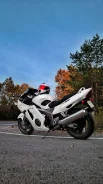Honda CBR 1100XX. 1 100����. ��., ��������, ���������, ������ �� �� ����