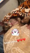 ������. ����