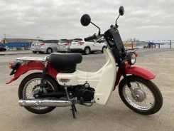 Suzuki Birdie