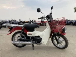 Suzuki Birdie