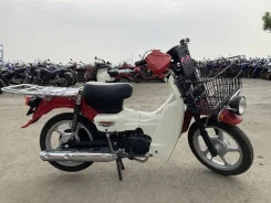 Suzuki Birdie