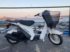 Suzuki Mollet
