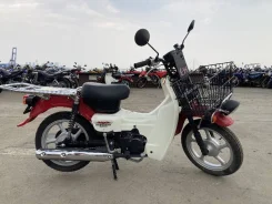 Suzuki Birdie