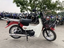 Suzuki Birdie