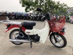 Suzuki Birdie