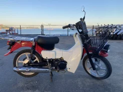 Suzuki Birdie