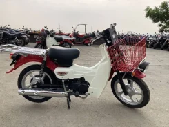 Suzuki Birdie