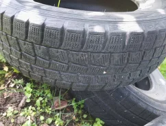 Dunlop Digi-Tyre. ������, ��� �����, 2014 ���, �/�, ����� 15 % ����