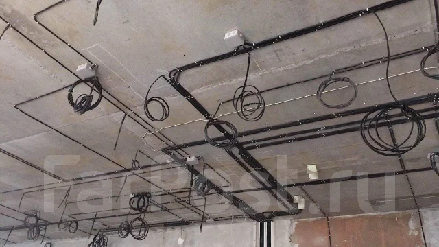 ���������. ����