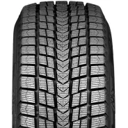 Roadstone Winguard Ice. ������, ��� �����, 2024 ���, ����� ����