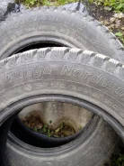Nordman 2. ������, 2023 ���, ����� ����