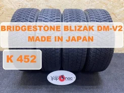 Bridgestone Blizzak DM-V2