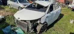 Kia Rio ����