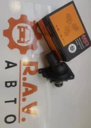��������� Honda Accord CRV EEP 19301RAF003 ����