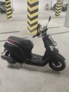 Honda Dunk. 49����. ��., ��������, ���, ��� ������� ����