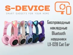 Xiaomi ����