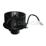 ����� ��������� ������ � 00843 Ossca 00843 ����