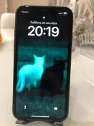 Apple iPhone Xr. �/�, 64 ��, ������ ����