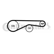 5613XS ������ ��� A ct1095 Contitech CT1095 ����