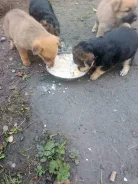 ������. ����