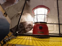 ������ �����������. ����