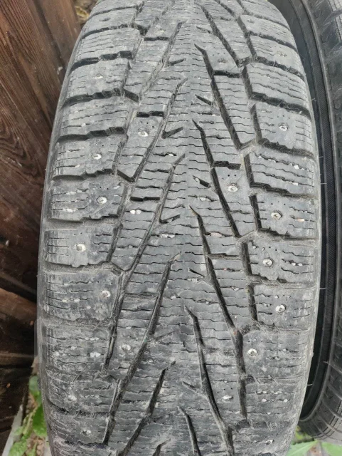 Nordman 7. ������, ����������, 2017 ���, �/�, ����� 10 % ����