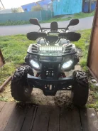 Grizzly. ��������, ��� ���\���, � �������� ����