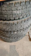 Taitong. ������, ��� �����, 2015 ���, �/�, ����� 70 % ����