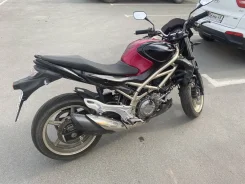 Suzuki SFV 650 Gladius. 650����. ��., ��������, ���, � �������� ����