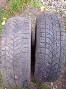 Bridgestone Winter Radial WT-17. ������, ����������, �/�, ����� 20 % ����