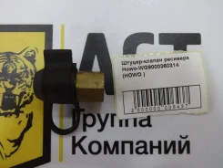 ������-������ �������� Howo WG9000360314 ����