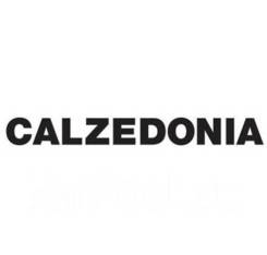  .  , CALZEDONIA.   6 