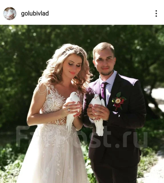 ������ ����� �� �������� ����