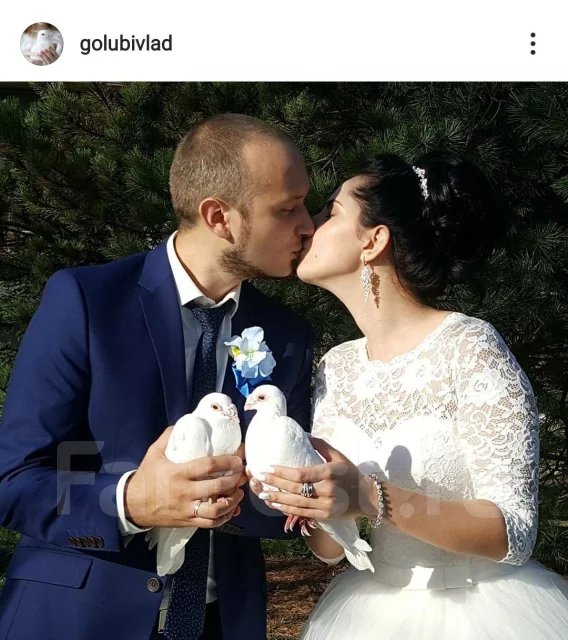 ������ ����� �� �������� ����