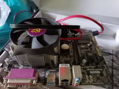 H81 ����