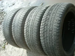 Triangle Snowlink PL01. ������, ��� �����, 2021 ���, �/�, ����� 50 %. �������� ������� ����