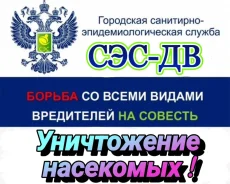 ����������� �������. ����