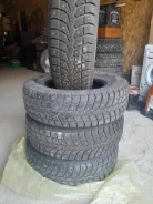 Evergreen. ������, ����������, 2022 ���, ����� ����
