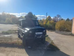 ��� 3151 ����
