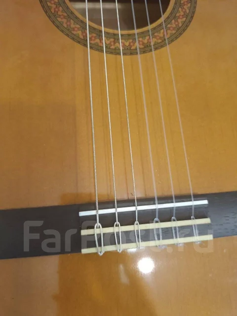 ������ ����