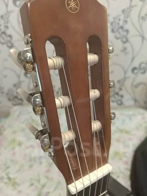 ������ ����