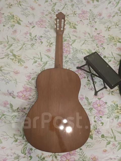 ������ ����