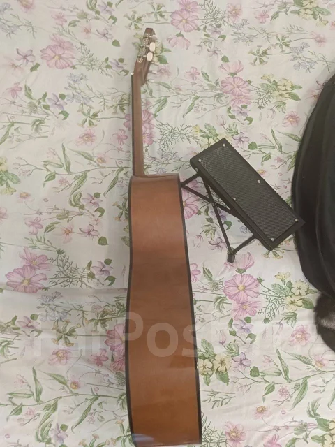 ������ ����