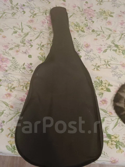 ������ ����